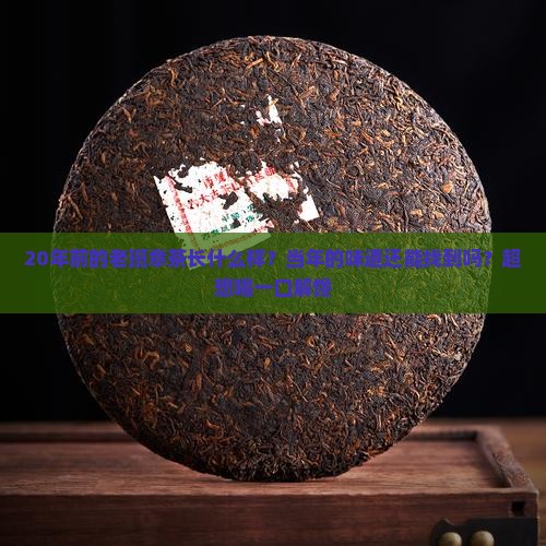 1999年鑫隆一山一味老班章