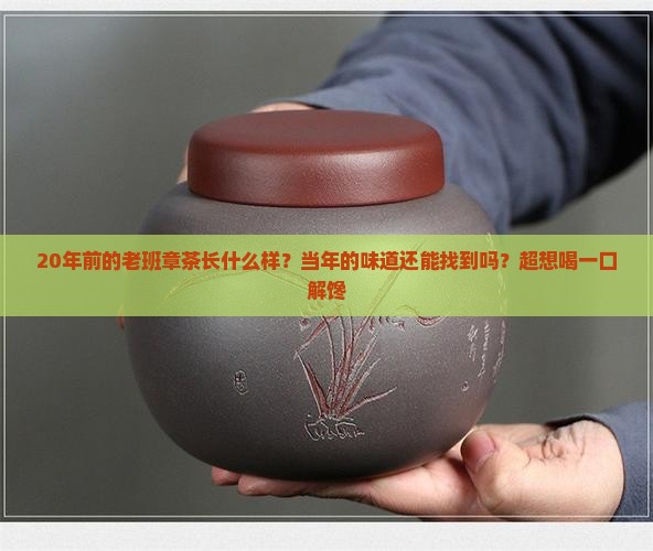 1999年鑫隆一山一味老班章