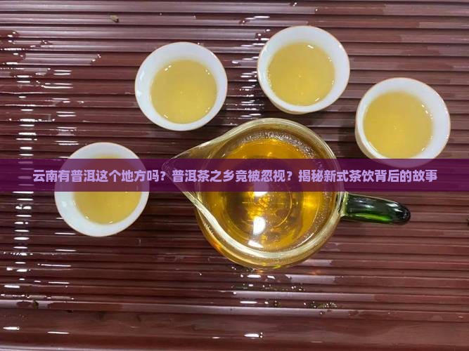 云南有普洱这个地方吗