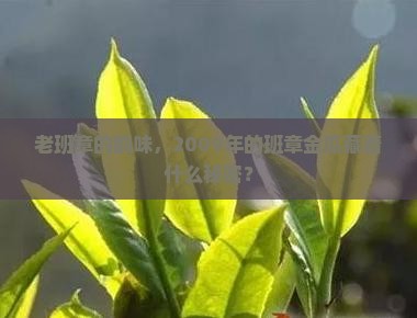 老班章的特点2009年班章金瓜