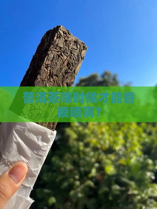 普洱茶多长时间能好喝一些