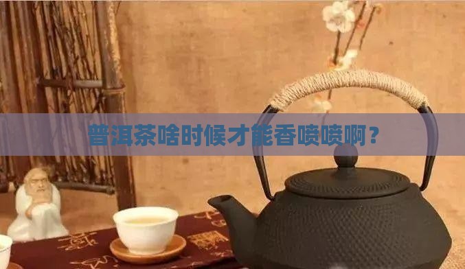 普洱茶多长时间能好喝一些