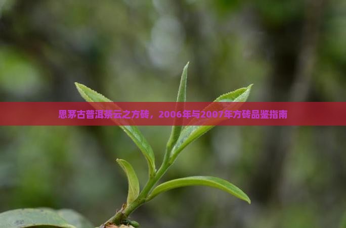 思茅古普洱茶云之方砖