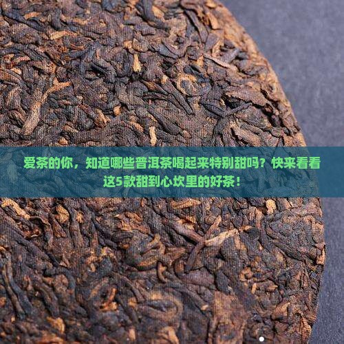 普洱茶甜的有哪些