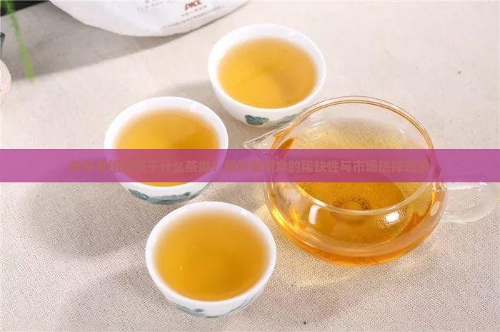 炒茶老班章属于什么茶类