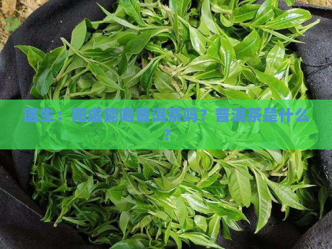 阳气不足能喝普洱茶吗