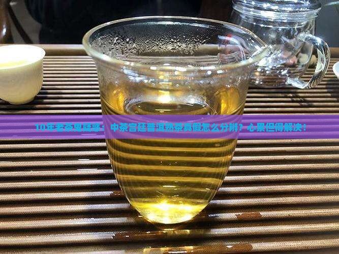 中茶宫廷普洱熟茶真假