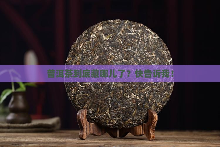 普洱茶哪有卖的