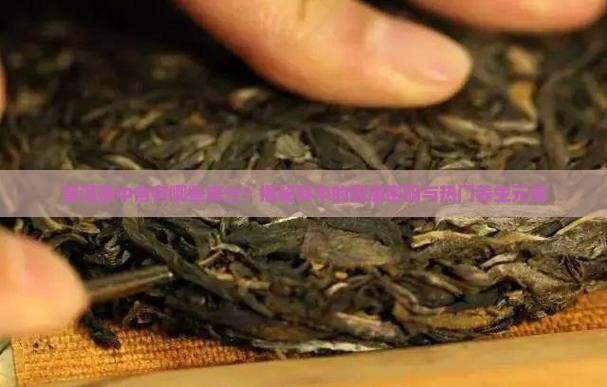 普洱茶中含有哪些成分