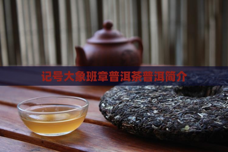 信记号大象班章普洱茶简介