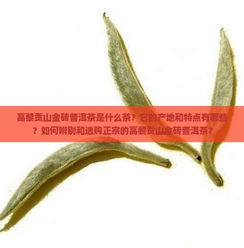 高黎贡山金砖普洱茶