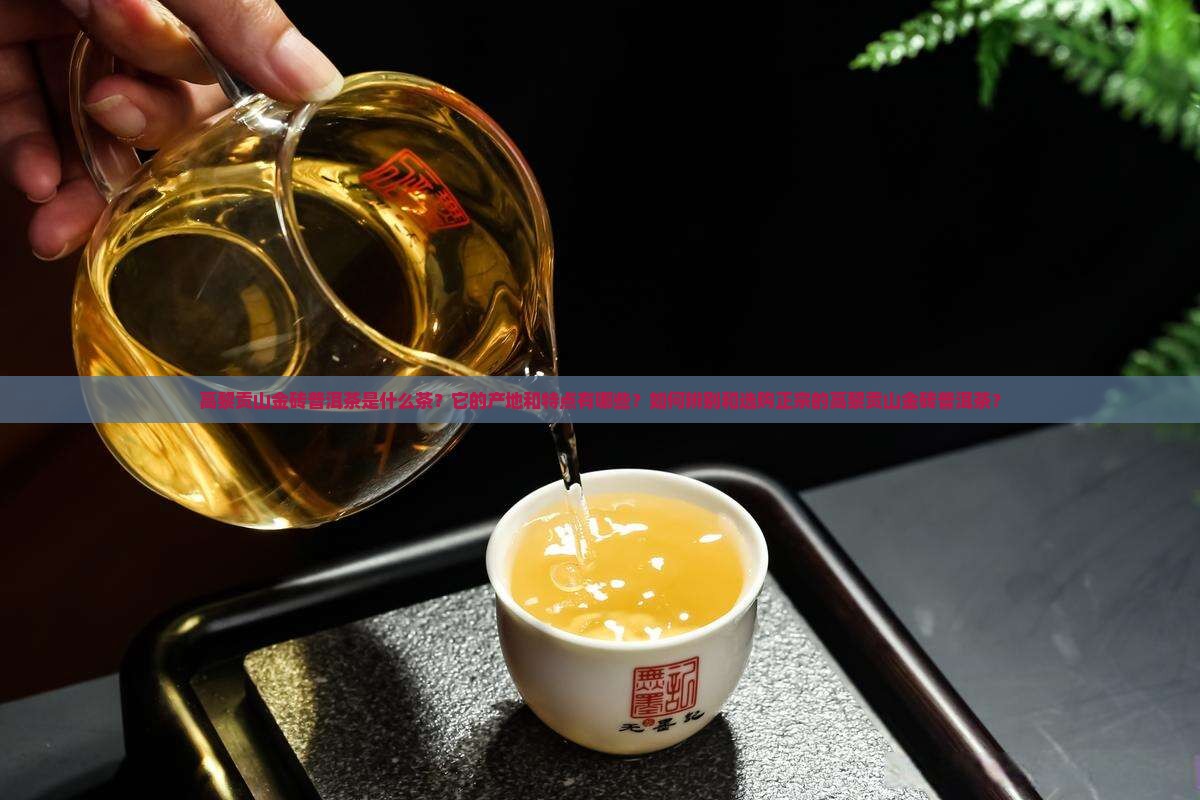 高黎贡山金砖普洱茶