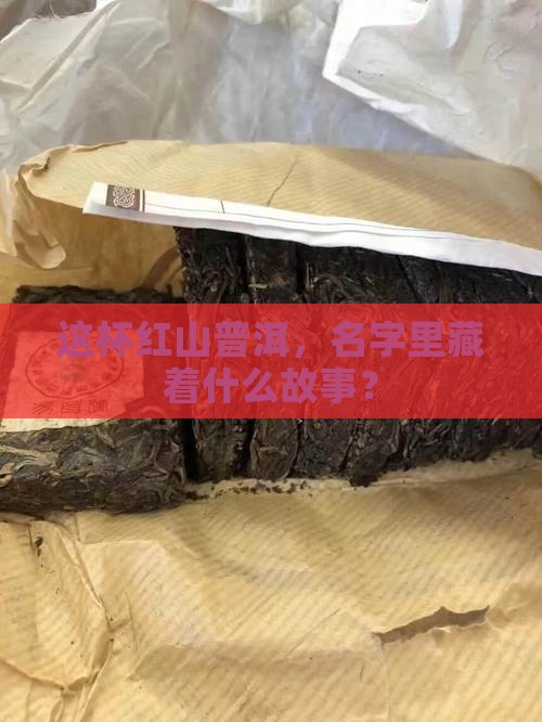 红山普洱茶名字