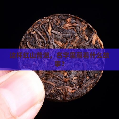 红山普洱茶名字