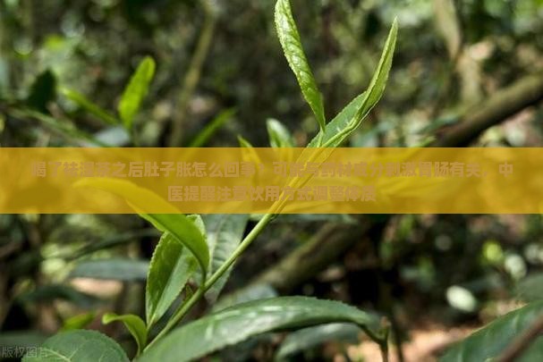 喝了祛湿茶肚子胀怎么回事
