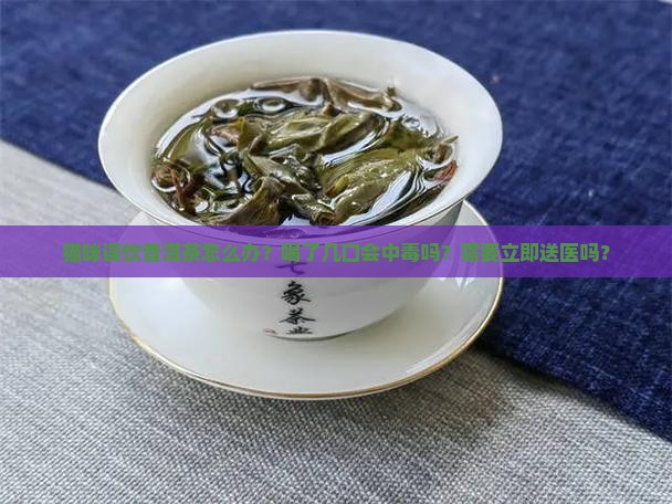 猫咪喝了几口普洱茶有事吗