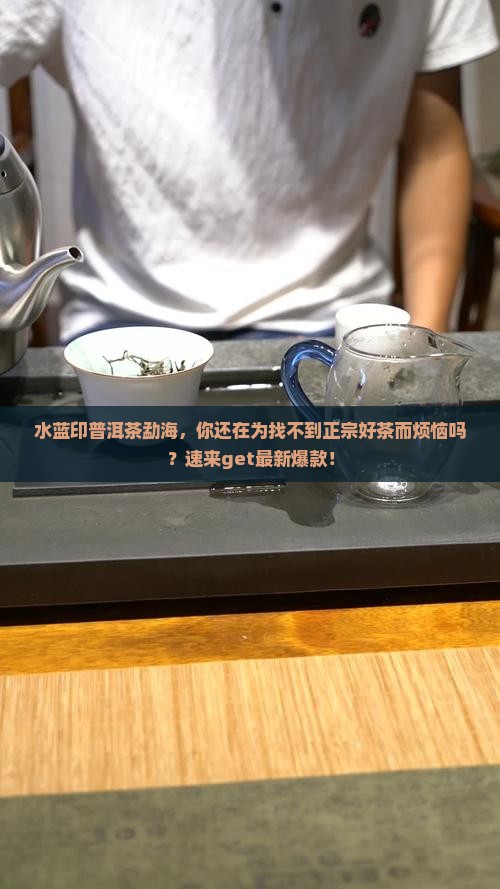 水蓝印普洱茶勐海