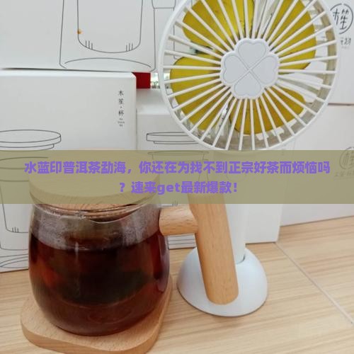 水蓝印普洱茶勐海