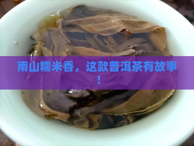 南山糯米普洱茶