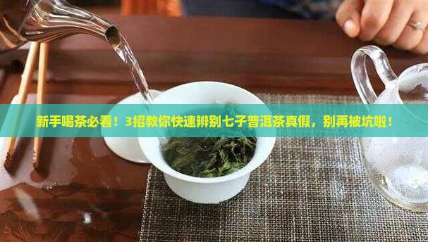七子普洱茶真假