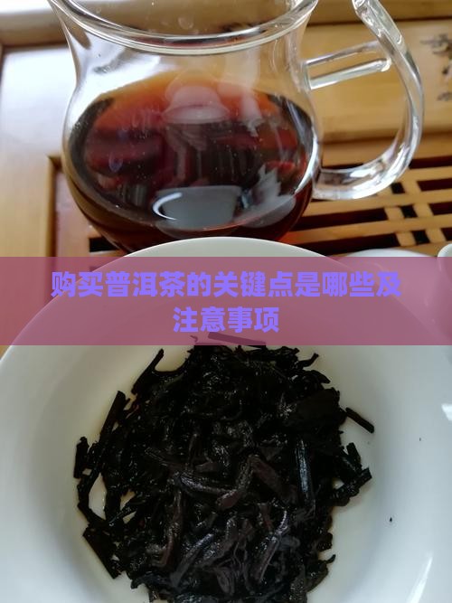 购买普洱茶的关键点是