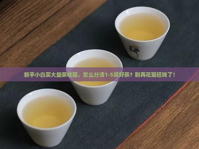 大益茶购买藏怎么分级