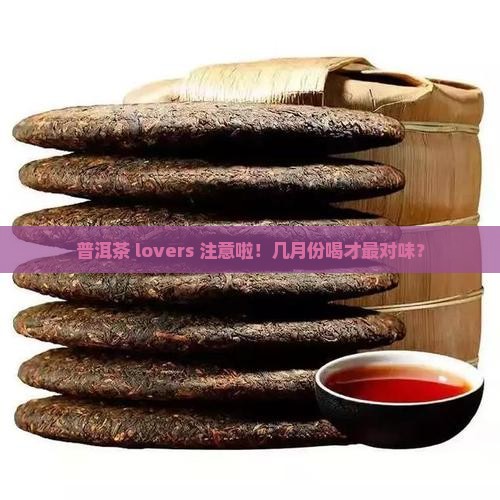 普洱茶一般几月份喝