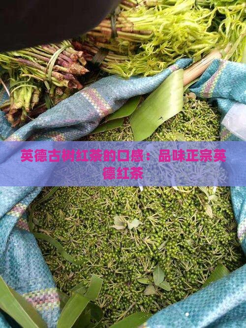 英德古树红茶的口感