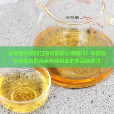 勐海普洱茶的口感