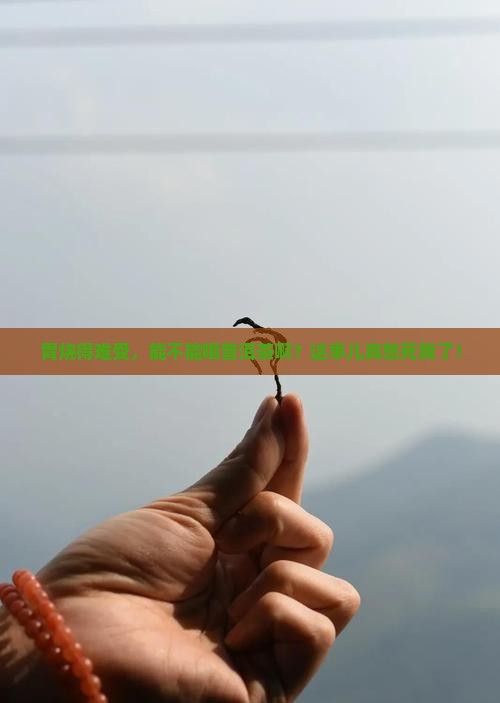 胃烧的难受可以喝普洱茶吗
