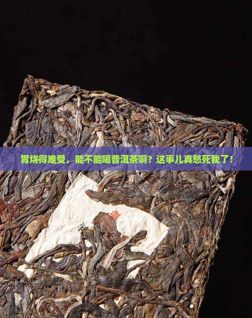 胃烧的难受可以喝普洱茶吗