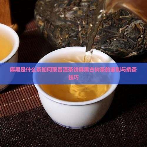 麻黑是什么茶如何取普洱茶饼