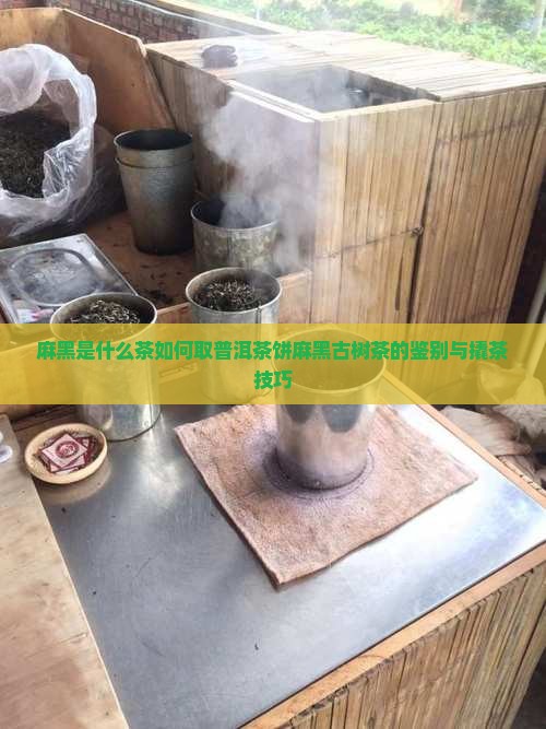 麻黑是什么茶如何取普洱茶饼