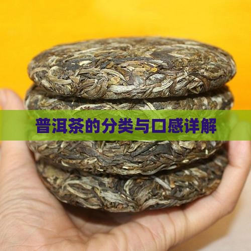 普洱茶的分类口感
