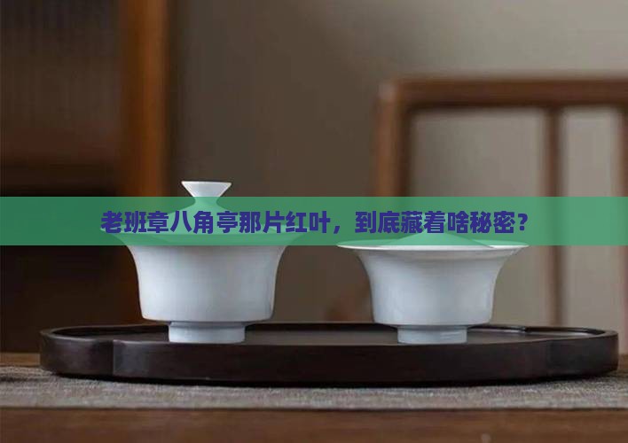 八角亭老班章一叶红