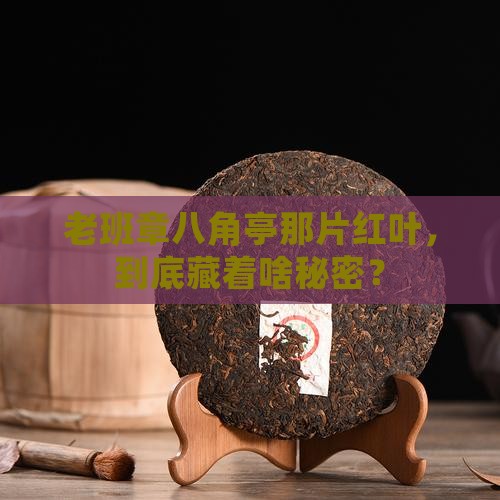 八角亭老班章一叶红