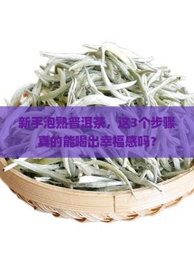 熟普洱茶怎么样泡好喝