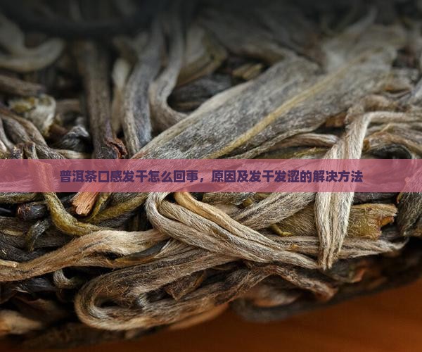 普洱茶口感发干
