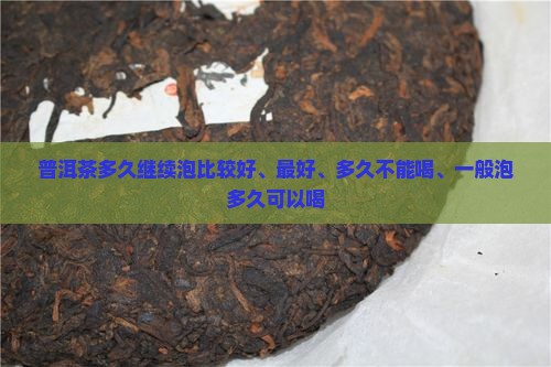 普洱茶多久继续泡
