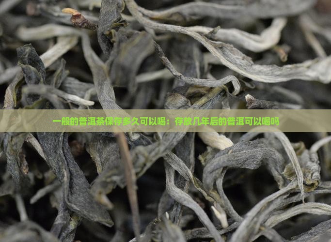 一般的普洱茶保存多久可以喝