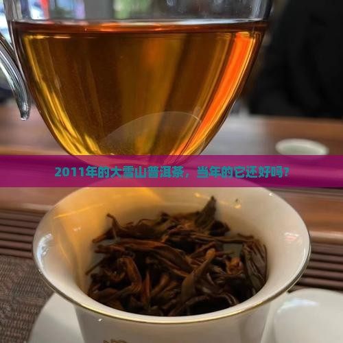 2011年大雪山普洱茶