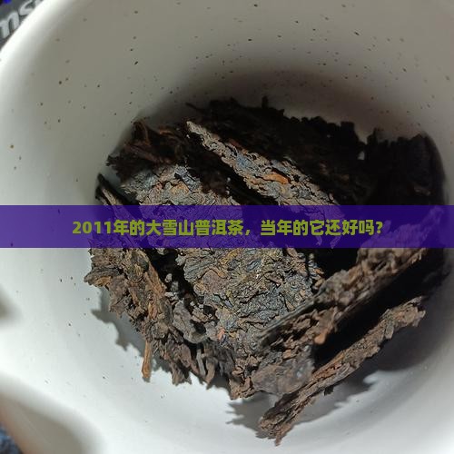 2011年大雪山普洱茶