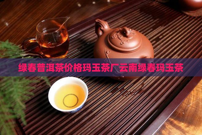 绿春普洱茶价格玛玉茶厂