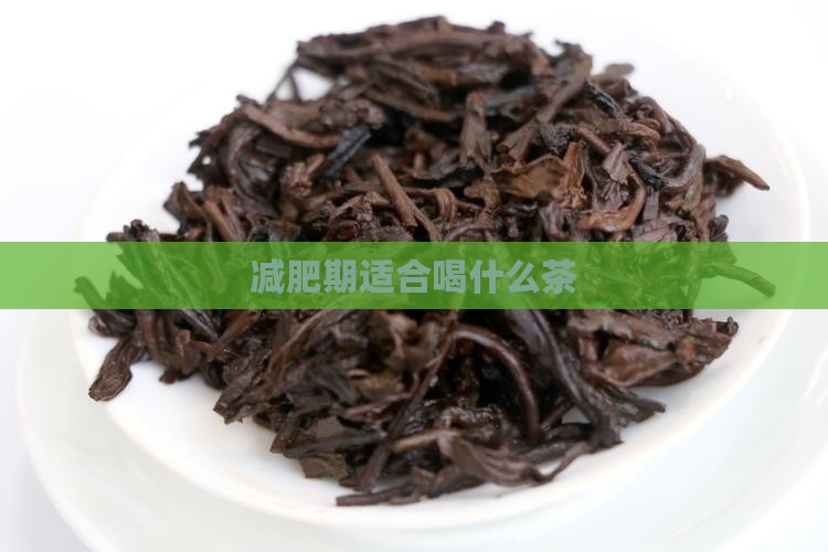 减肥期适合喝什么茶