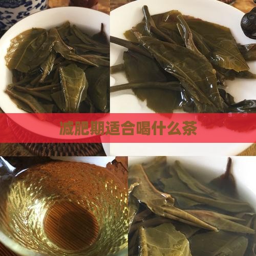 减肥期适合喝什么茶
