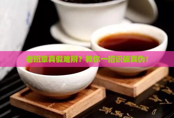 怎么辨别真假老班章
