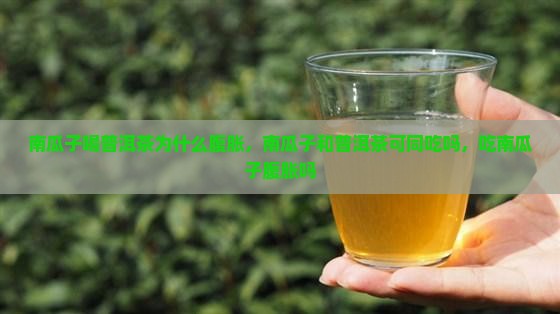 南瓜子喝普洱茶为什么腹胀