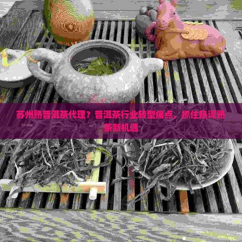 苏州熟普洱茶代理