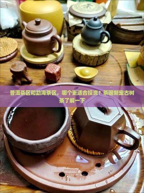 普洱茶区和勐海茶区