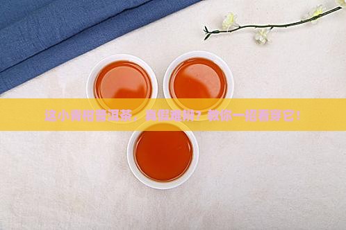 小青柑普洱茶真假辨别